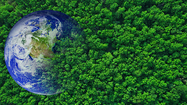 Moving Forward with Alternative Power: Understanding Opportunities and Risks for the Non-road Equipment Industry