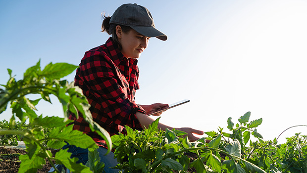 Modern Benefits of Specialty Crop Equipment